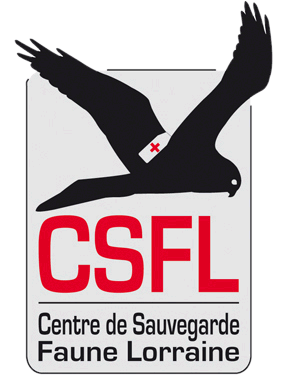 logo-csfl-transp