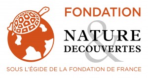 fondation-ND-H-2013-quadri