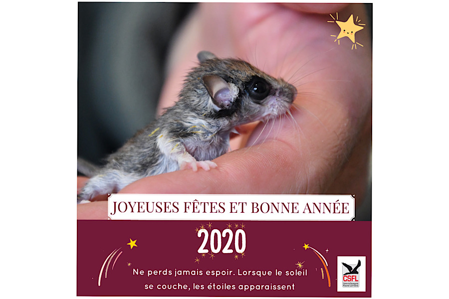 Bonne année 2020