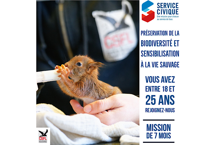 Nous recherchons des Services Civiques