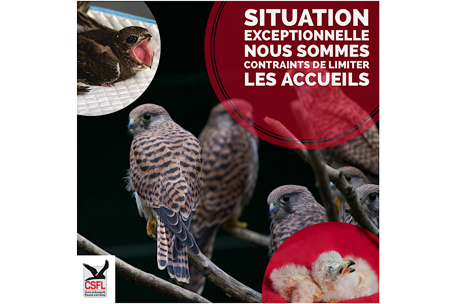 Situation exceptionnelle : nous sommes contraints de limiter les accueils