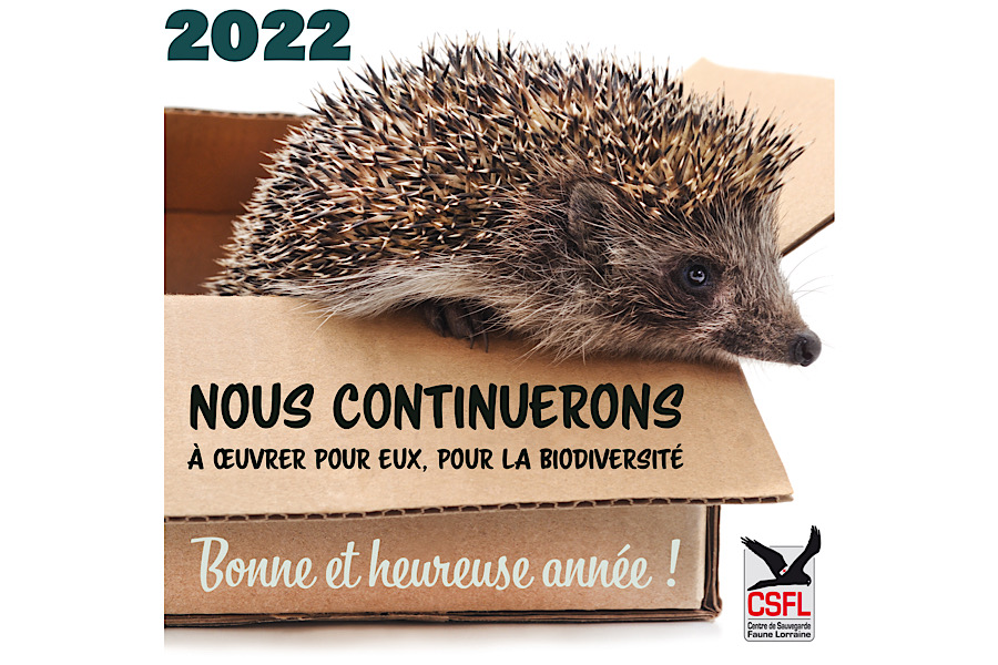 Bonne année 2022