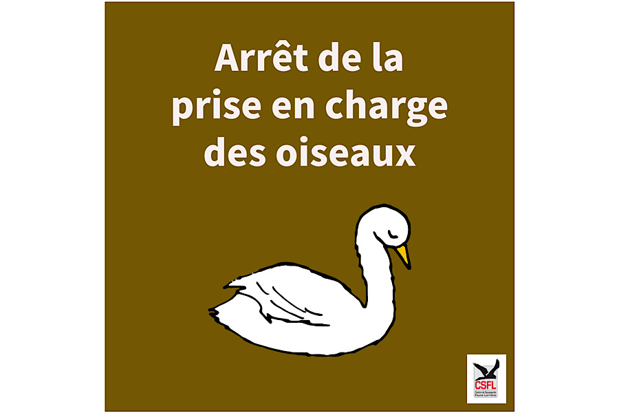 ARRÊT DE LA PRISE EN CHARGE DES OISEAUX