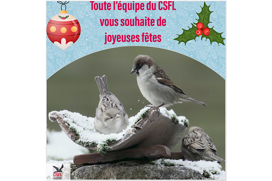 Toute l’équipe du CSFL vous souhaite de joyeuses fêtes