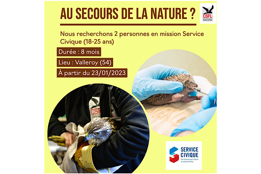 Nous recherchons 2 personnes en Service Civique