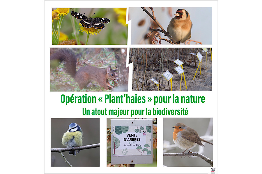 Opération « Plant’haies » pour la nature