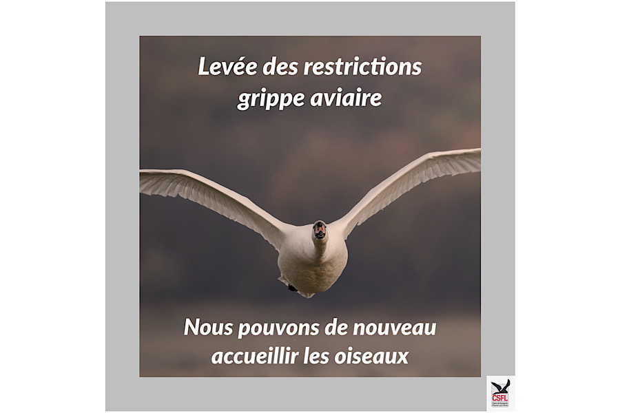 Levée des restrictions de grippe aviaire