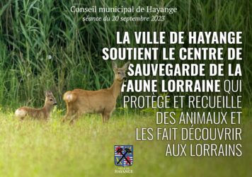 Ville de Hayange