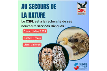 Service Civique : vous souhaitez vous investir pour la protection de la faune sauvage ?