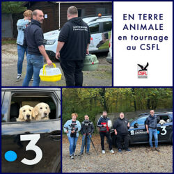 En Terre Animale en tournage au CSFL