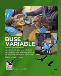 Descriptif Buse Variable