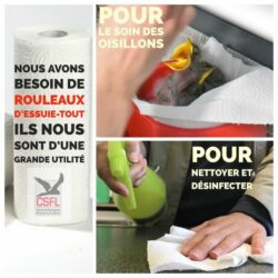 Appel à don d’essuie-tout au CSFL !