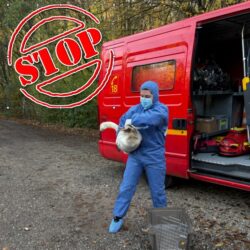 Information importante – Suspension de l’accueil des oiseaux au CSFL