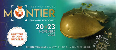 Festival Photo de Montier-en-Der du 20 au 23 novembre