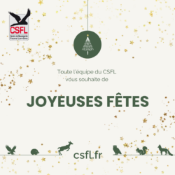 Joyeux Noël et belles fêtes de fin d’année