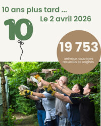 Il y a 10 ans jour pour jour, notre histoire commençait avec vous !